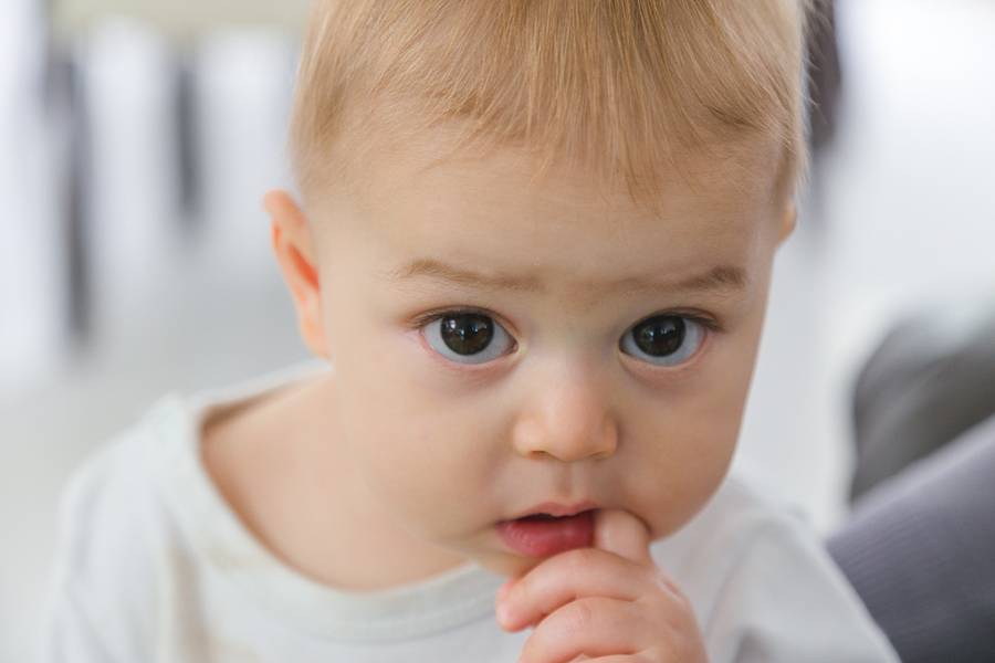 Acompanhamento de A casa de Nárnia