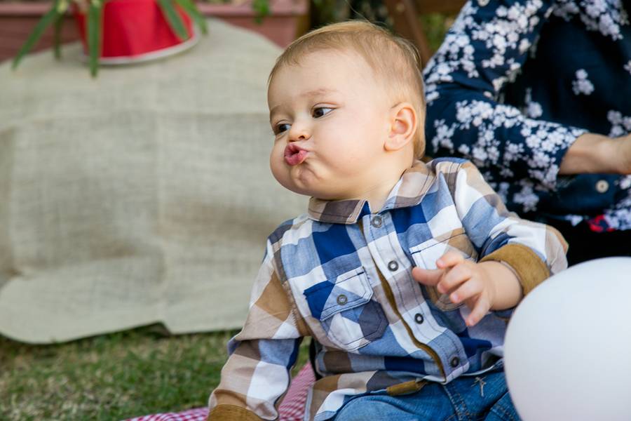Festa Infantil de Festa Pique-nique na casa de Nárnia