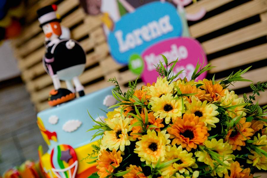 Festa Infantil de Mundo Bita da Lorena 