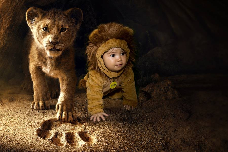 Festa Infantil de Pequeno Rei Leão -Ian