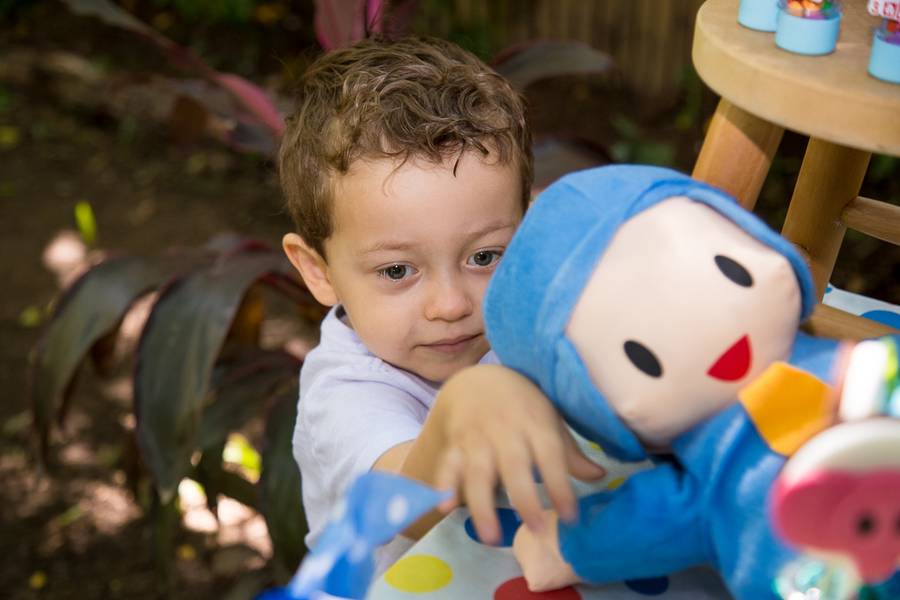 Festa Infantil de Pocoyo e seu picnic