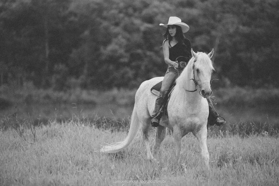 Book Fifteen  de 15 anos Maria Luiza 