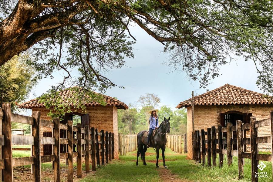 Book Fifteen  de Laura Lemos 