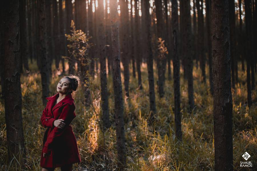 Book Fifteen  de Tainara 