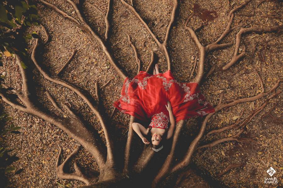 Book Fifteen  de Book Laila 