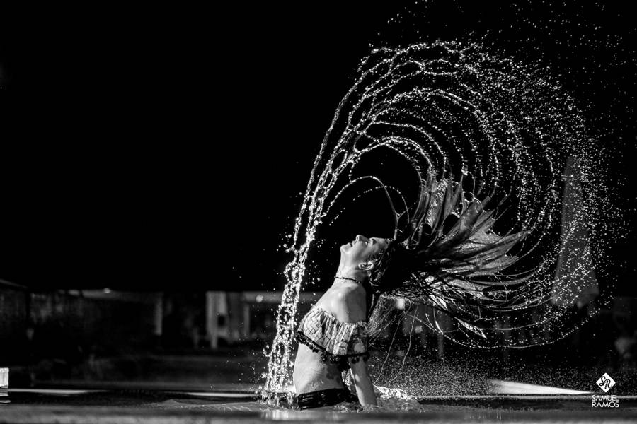 Book Fifteen  de  Book Sarah