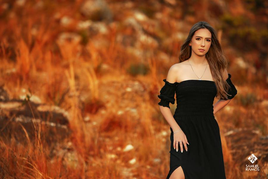 Book Fifteen  de 15 ANOS MARIA FERNANDA 