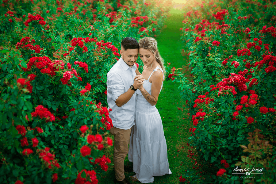 Pré Wedding de Pré-Wedding-Lucas-e-Alicia-dia-26-02-2021-Holambra-SP.