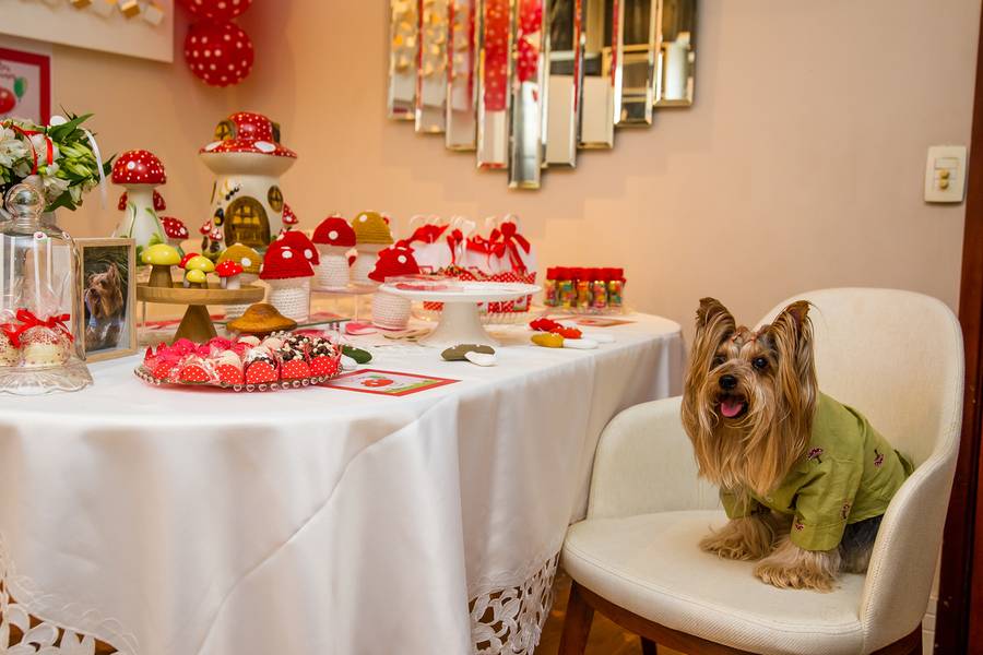 Pet de Aniversário de Pet