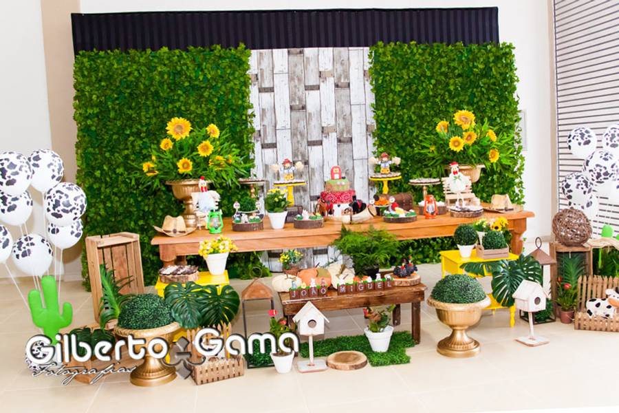 ANIVERSÁRIO de JOÃO MIGUEL 1 ANO ANIVERSARIO