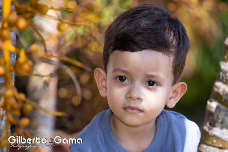 ANIVERSÁRIO de LEONARDO 2 ANOS