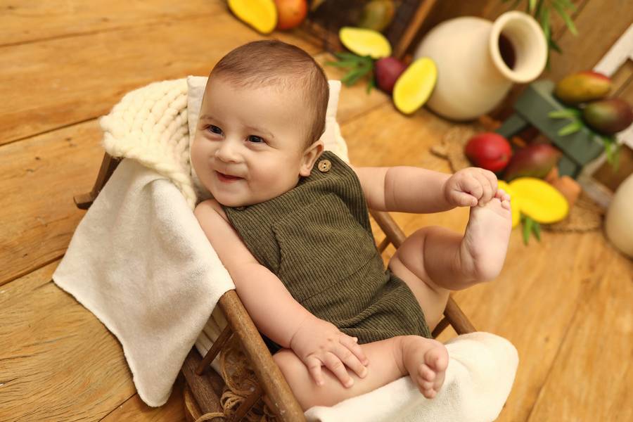 FRUTINHAS de GUSTAVO - 6 MESES