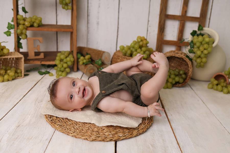 FRUTINHAS de ENRICO - 6 MESES