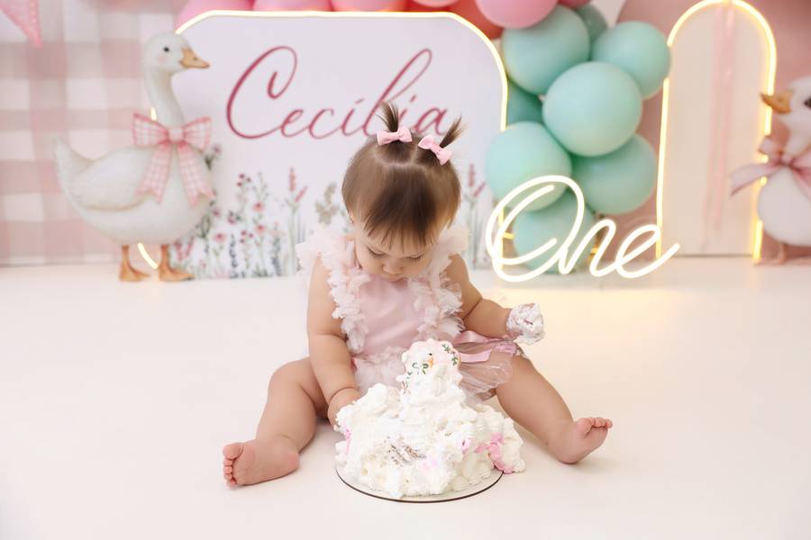 SMASH THE CAKE de CECÍLIA - GANSINHO
