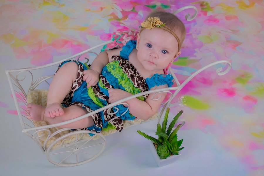 ULTIMOS TRABALHOS de Antonella - Acompanhamento 4 meses