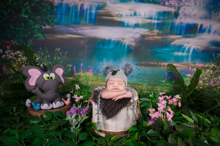 ULTIMOS TRABALHOS de Ensaio Newborn - Alícia 17 dias