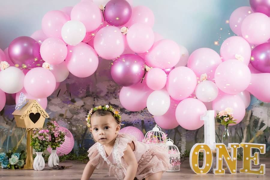 Smash the Cake de Helena 1 Aninho