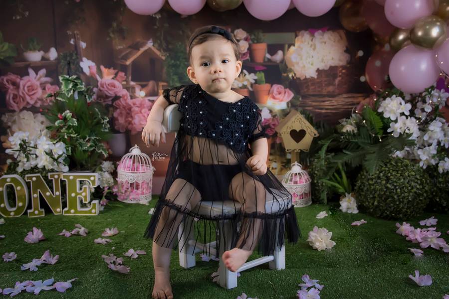 Smash the Cake de laura 1 aninho