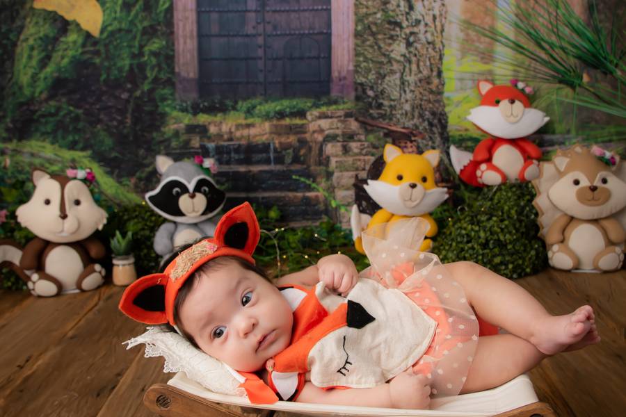 Acompanhamento de Ester