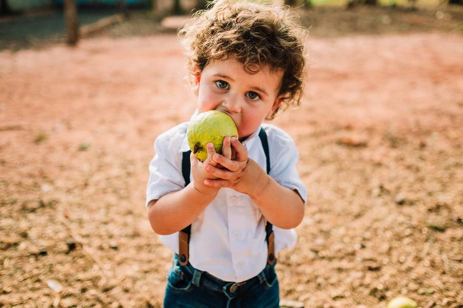 Infantil  de Ensaio Vicente