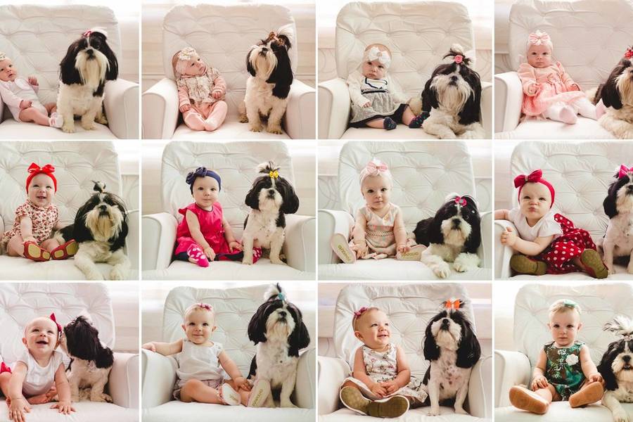 Infantil  de Acompanhamento Mensal LifeStyle Isabella