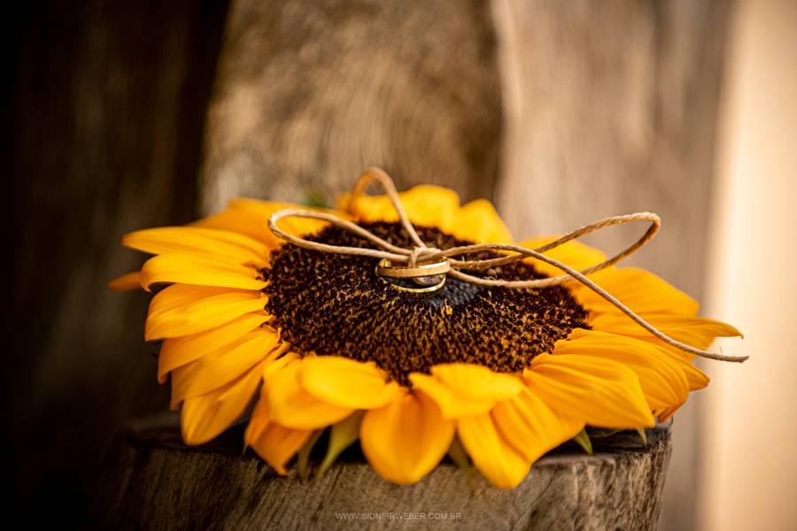 Casamentos de Casamento Isabela & Pablo