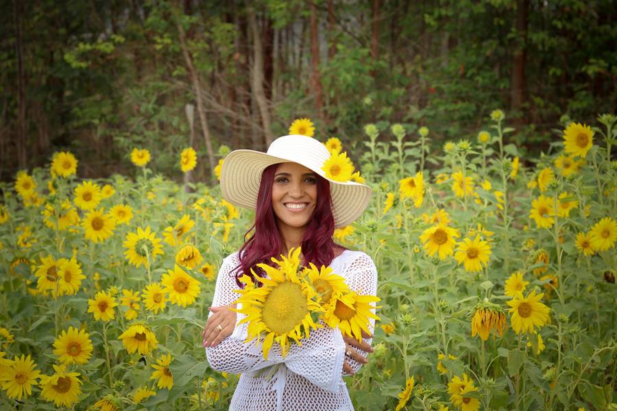 Ensaio externo de Girassol