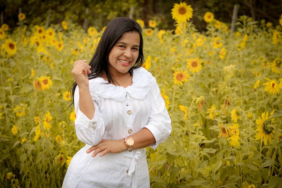 Ensaio externo de Girassol