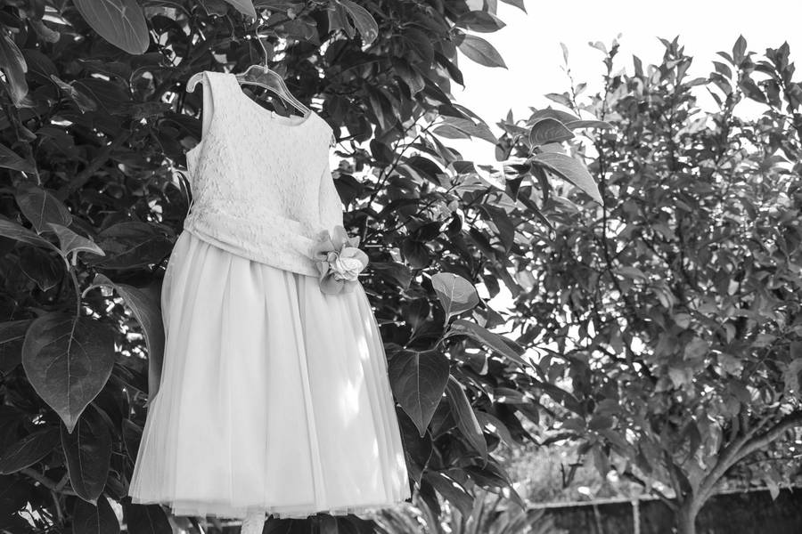 Batizados de Celebração do Batismo