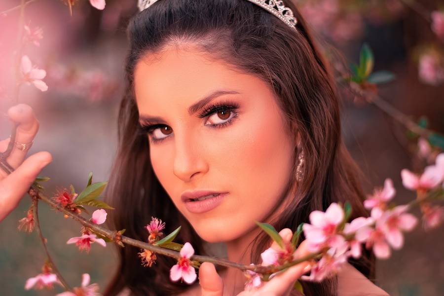 Book 15 de Brenda Ferreira