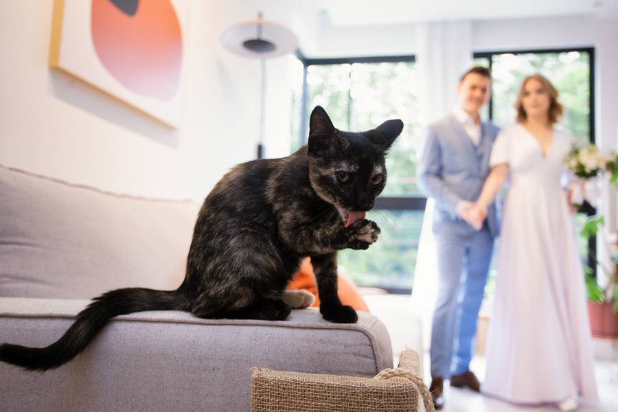 CASAMENTO de NATÁLIA E GIANLUCA