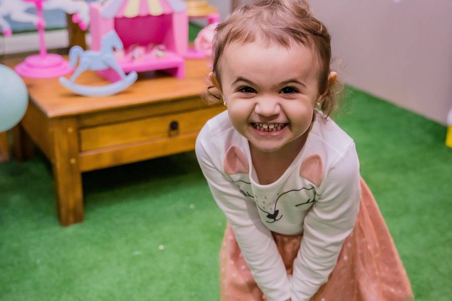 Festa Infantil de 2 Anos Sarah