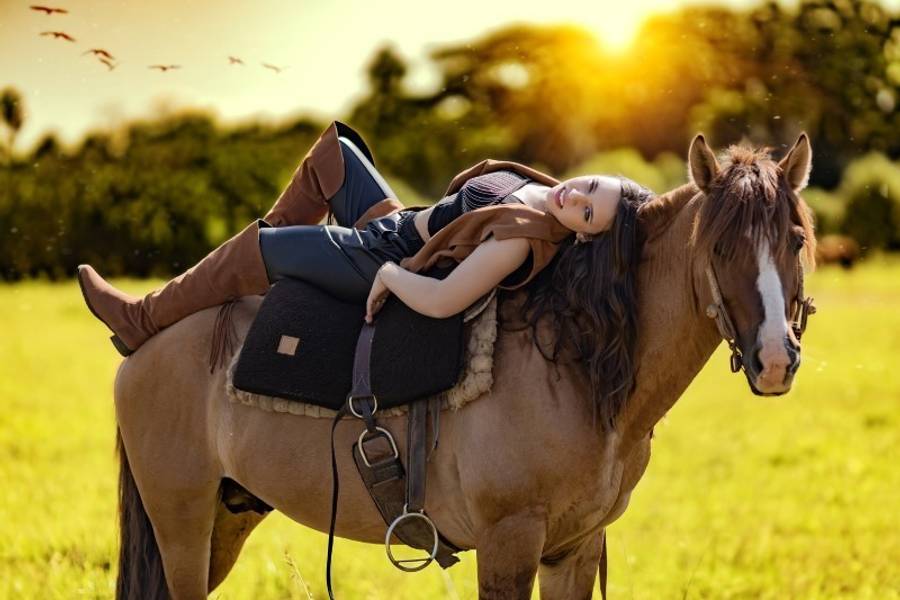 Book  de Book Ana Laura