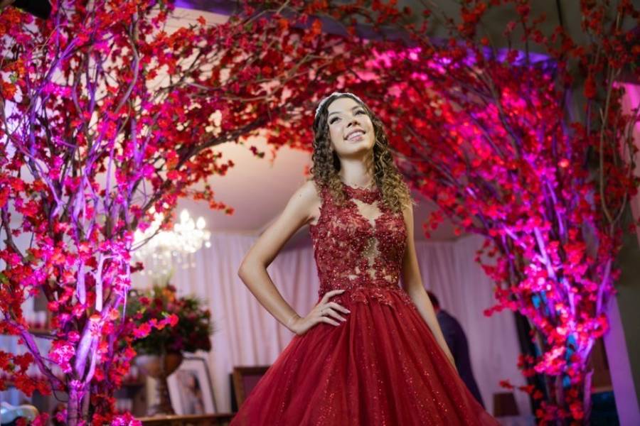 Aniversário de 15 anos Ana Luyza 