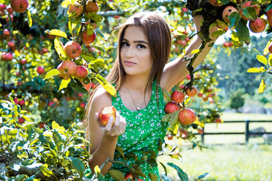 Book  de Book Rafaela 