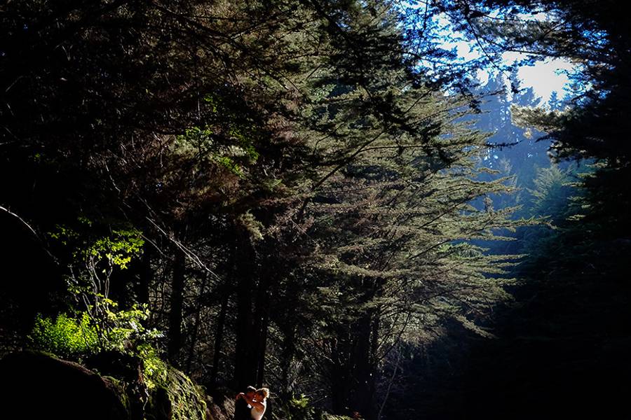 FOTOGRAFIA de Nuno & Andreia