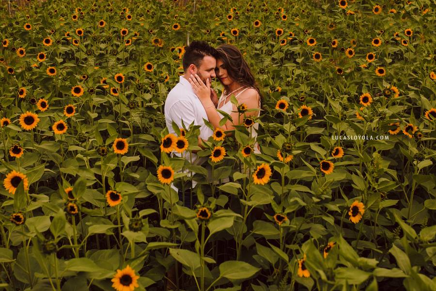 ENSAIOS de Fotografando entre as flores - Camila e Junior