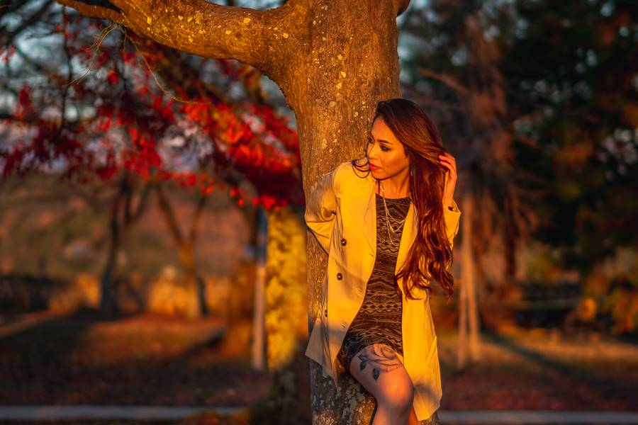 Ensaio de Jack & Jack in Hikone