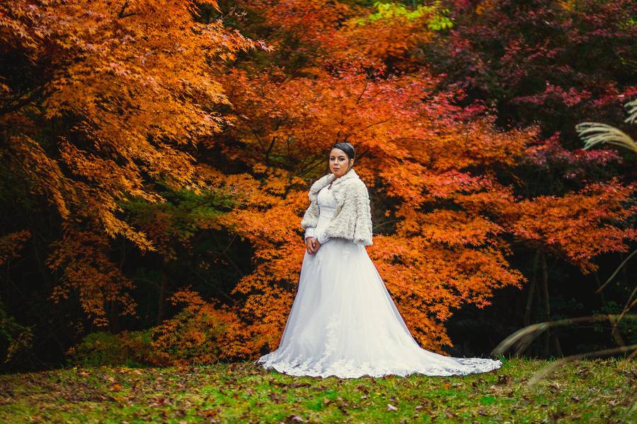 Casamento de Alais, A Noiva Sortuda !