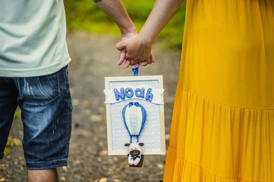 Gestante de A espera de Noah