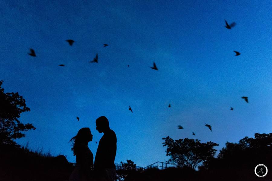 Pré-Casamento de Flavia + Igor