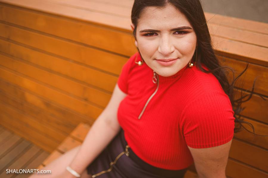 ENSAIO 15 ANOS de ELISA - 15 ANOS BOOK