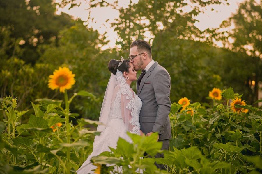 Casamentos de RENATA E DANIEL - WEDDING