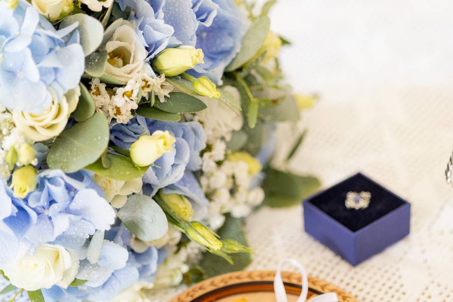 Casamentos de Mariana // Juvenal