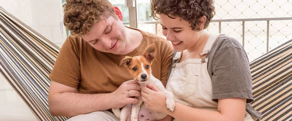 Quais os momentos mais importantes para fotos do meu pet?