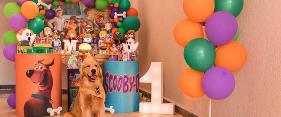 Mercado pet e parcerias de sucesso