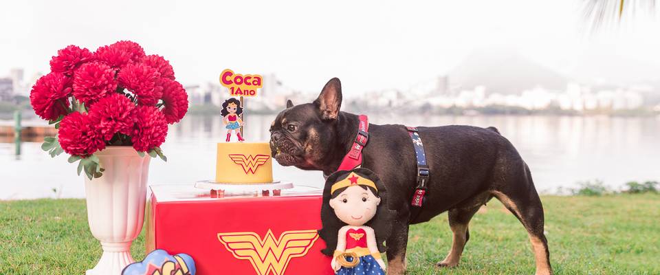 Smash the cake para cachorro existe?