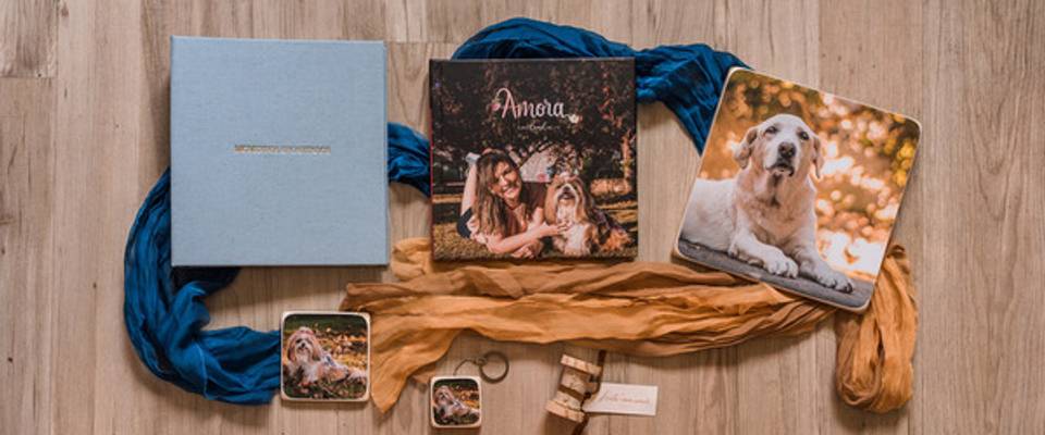 Foto digital x Foto impressa e a importância do pet para a família