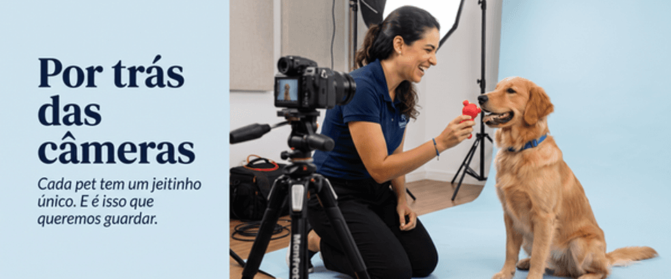 Por trás das câmeras: como transformamos a personalidade de cada pet em fotografias