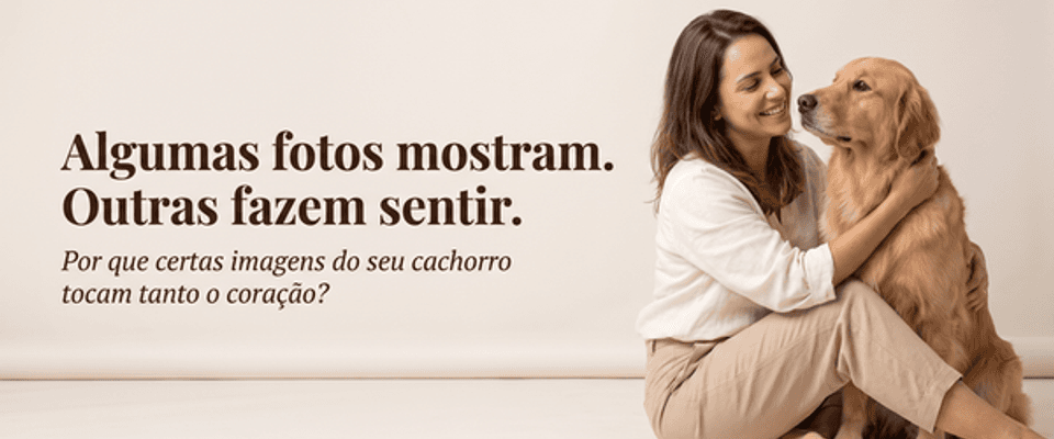 Por que algumas fotografias do seu cachorro emocionam mais do que outras?